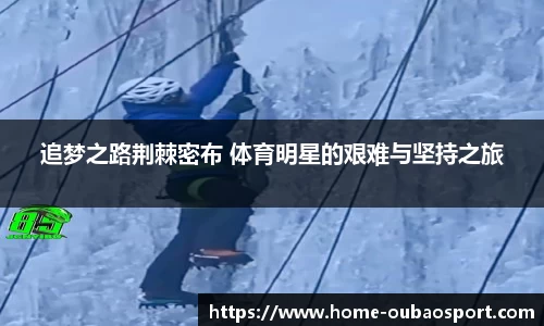欧宝电竞平台
